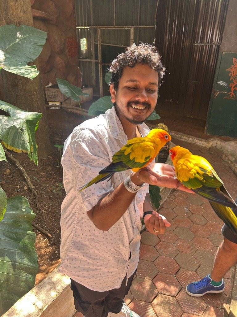 Latest Updates Visual